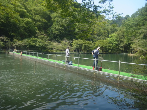 「醒ヶ井養鱒場」 暑いでした・・・　その３