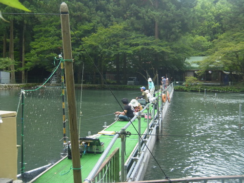 「醒ヶ井養鱒場」癒しの七夕の日   その３
