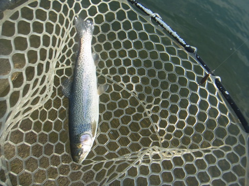 「北方ます釣り場」最近の状況　その１