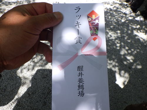 「醒ヶ井養鱒場」名人戦第２戦    最終話