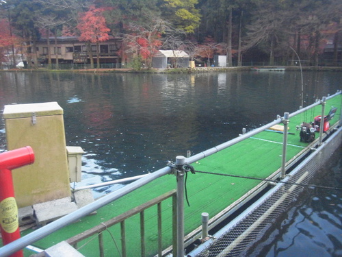 紅葉きれいな「醒ヶ井養鱒場」そして復活か    最終話