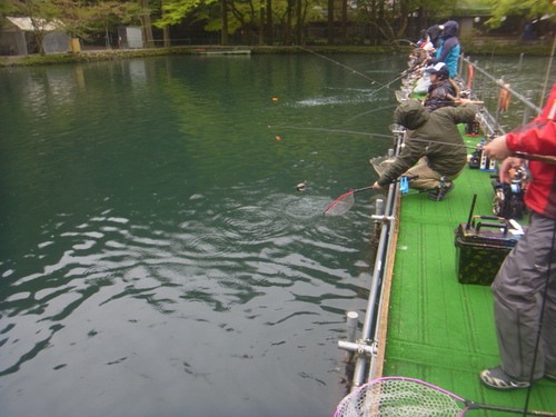 「醒ヶ井養鱒場」2匹めのドジョウ狙い    その１