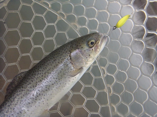 「北方ます釣り場」またもや行きました    その１