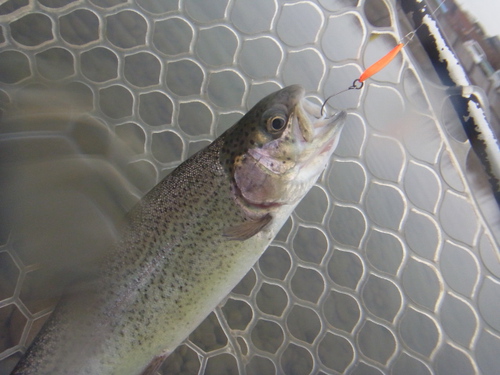 「北方ます釣り場」またもや行きました    その１