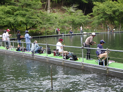 「醒ヶ井養鱒場」名人戦反省釣行    その１