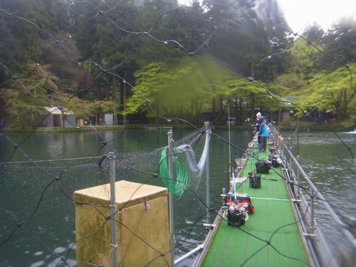 「醒ヶ井養鱒場」2匹めのドジョウ狙い    その２