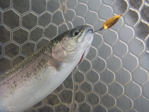 「北方ます釣り場」またもや行きました    その２
