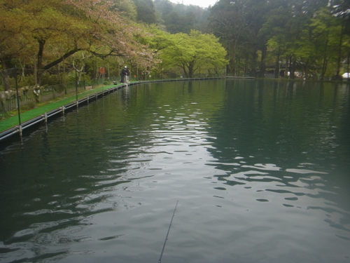 「醒ヶ井養鱒場」2匹めのドジョウ狙い    その２