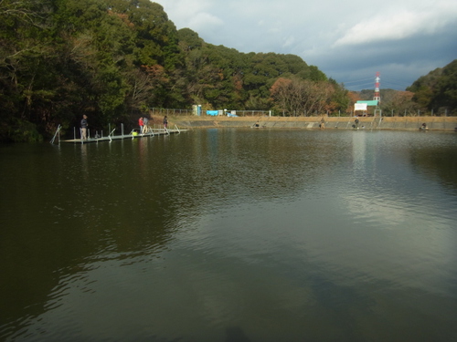 ブラウンな「岡崎TP」   その１