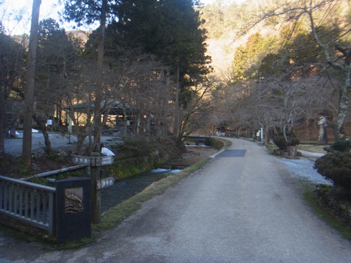 「醒ヶ井養鱒場」最近はどうかな？　　その１