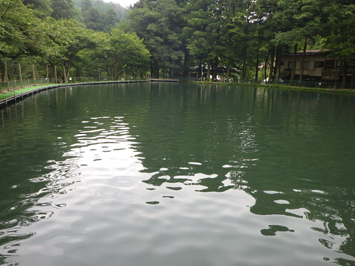 「醒ヶ井養鱒場」ほぼ貸切釣行     その１