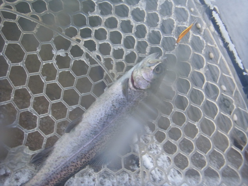 新春初釣り「北方ます釣り場」　その１
