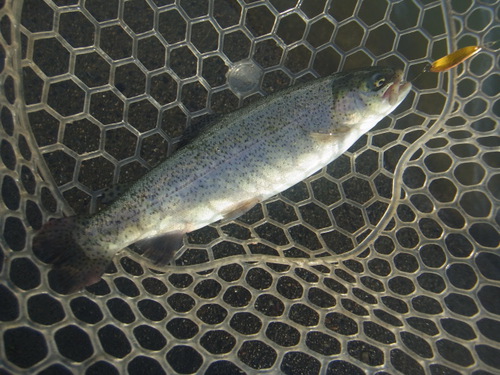 「北方ます釣り場」決壊、臨時休業前　その１