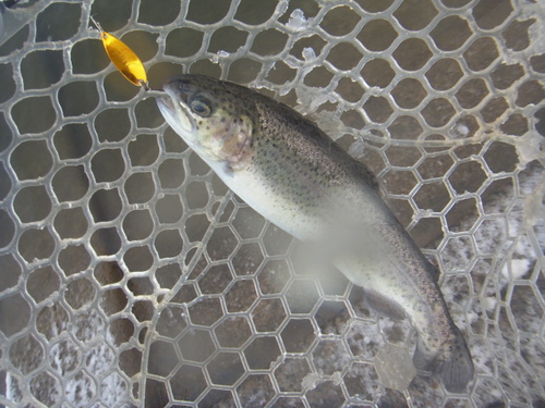 新春初釣り「北方ます釣り場」　その１