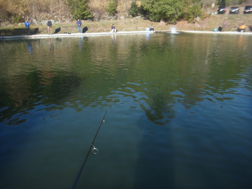 「瑞浪FP」年末釣り納め釣行