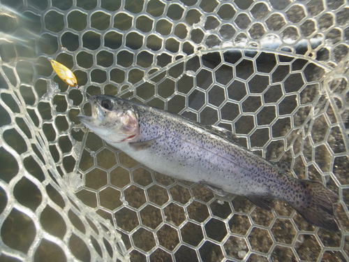 新春初釣り「北方ます釣り場」　その１