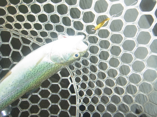 「北方ます釣り場」決壊、臨時休業前　その１