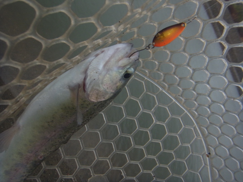 「北方ます釣り場」決壊、臨時休業前　その１