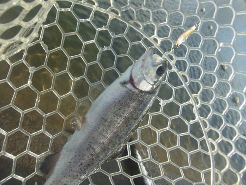 新春初釣り「北方ます釣り場」　その２