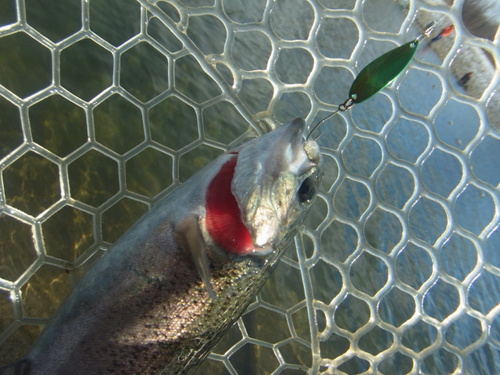 新春初釣り「北方ます釣り場」　その２