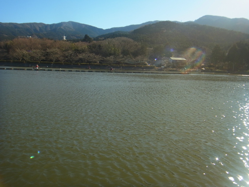 「東山湖FA」トラキン次の日＆今年を振り返って