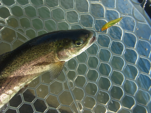 新春初釣り「北方ます釣り場」　その２