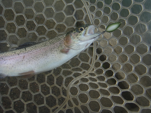 「北方ます釣り場」決壊、臨時休業前　その２