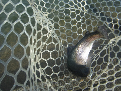新春初釣り「北方ます釣り場」　その２
