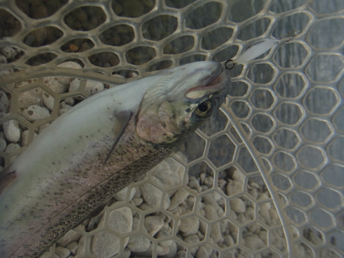 「北方ます釣り場」こんな釣りかたどうですか    その２