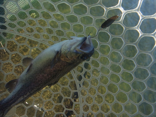 「北方ます釣り場」爆風のオープン　その２