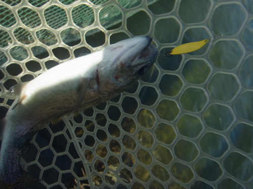 「北方ます釣り場」爆風のオープン　その３