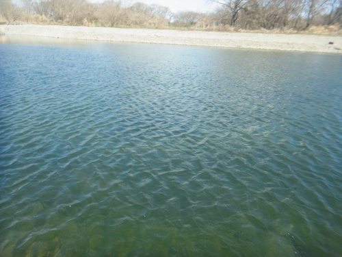「北方ます釣り場」爆風、そして爆釣　その３