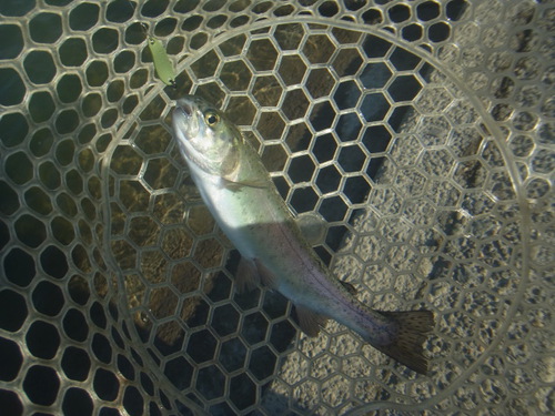 「北方ます釣り場」再再々オープン    その３