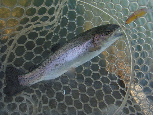 「北方ます釣り場」再再々オープン    その３