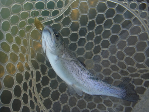 「北方ます釣り場」再再々オープン    その３