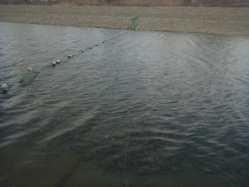 「北方ます釣り場」爆風、そして爆釣　その３
