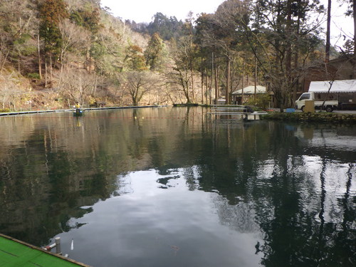 「醒ヶ井養鱒場」復活の兆し　その１