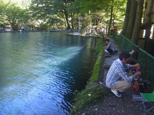「醒ヶ井養鱒場」リベンジ釣行    その１
