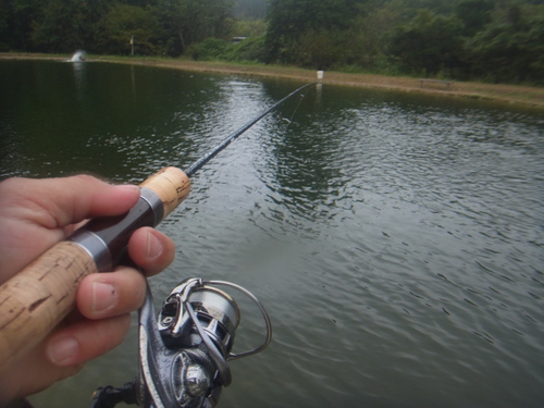 「瑞浪FP」初釣行ピンピン　その３