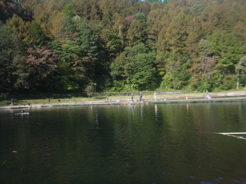 「平谷湖FS」意外な方と友釣り    その２