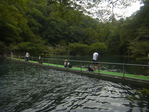 「醒ヶ井養鱒場」お盆休み明け釣行    その３