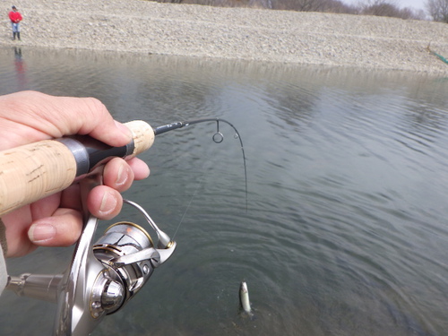 「北方ます釣り場」絶好調になってきました　その３