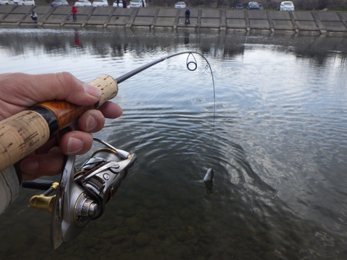 「北方ます釣り場」午後から午前中のペースを保てるか　その３