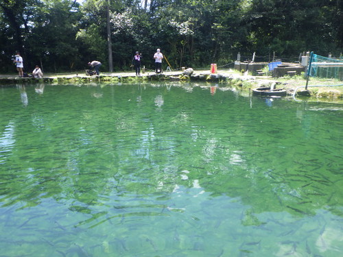 「サンクチュアリ」真夏の連休前釣行　その2