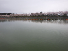 「東山湖FA」遠征ツアー釣行　その１