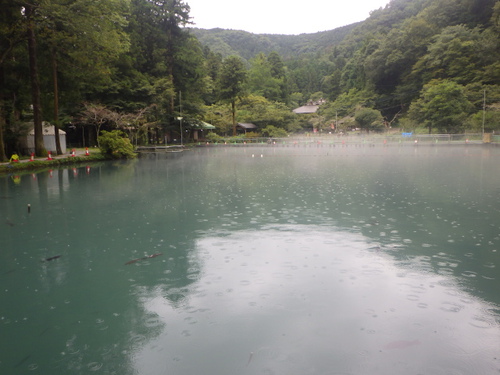 「醒ヶ井養鱒場」超久しぶり釣行2　その2