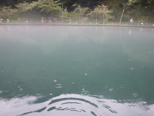 「醒ヶ井養鱒場」超久しぶり釣行2　その2
