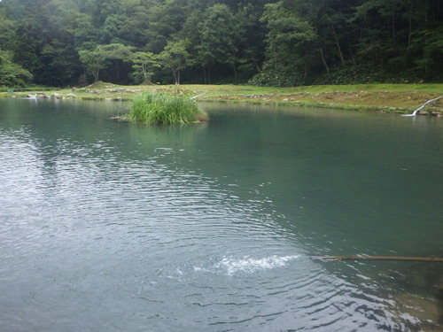 「鱒蔵」初秋、晩夏釣行　その3