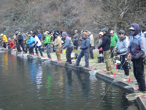 「千早川マス釣り場」トラキンエキスパート参戦記      その４
