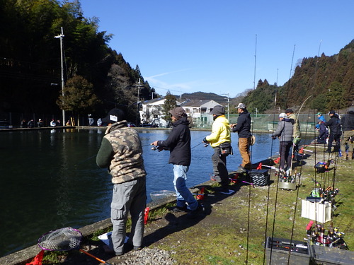 「千早川マス釣り場」トラキンエキスパート参戦記      その５